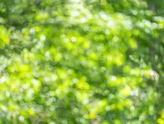 \开云在线-欧篮联赛程吃紧，马德里竞技清晨队长鼓劲，管理层满意，心理建设被强调(皇家马德里赛程表)